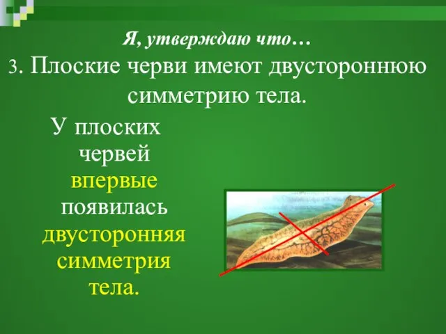 Я, утверждаю что… 3. Плоские черви имеют двустороннюю симметрию тела. У плоских