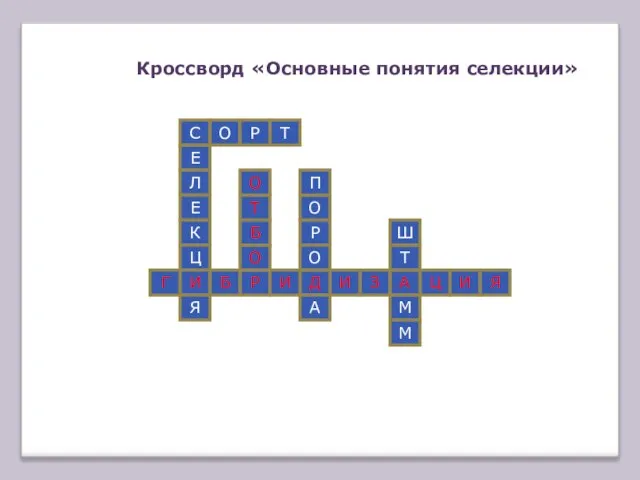 Кроссворд «Основные понятия селекции» С Е Л Е К Ц И Я