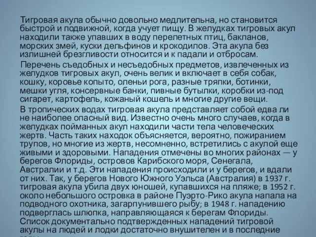 Тигровая акула обычно довольно медлительна, но становится быстрой и подвижной, когда учует