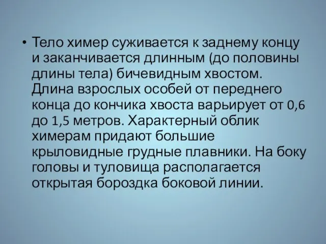 Тело химер суживается к заднему концу и заканчивается длинным (до половины длины