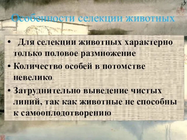 Для селекции животных характерно только половое размножение Количество особей в потомстве невелико