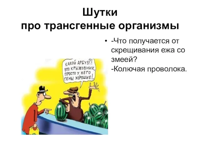 Шутки про трансгенные организмы -Что получается от скрещивания ежа со змеей? -Колючая проволока.