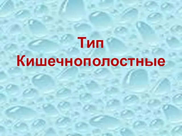 Тип Кишечнополостные