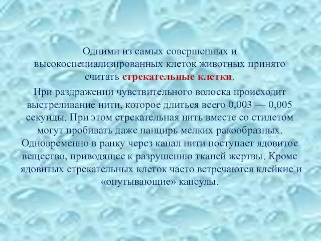 Одними из самых совершенных и высокоспециализированных клеток животных принято считать стрекательные клетки.