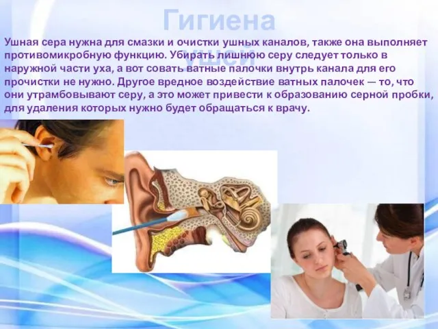 Гигиена ушей Ушная сера нужна для смазки и очистки ушных каналов, также