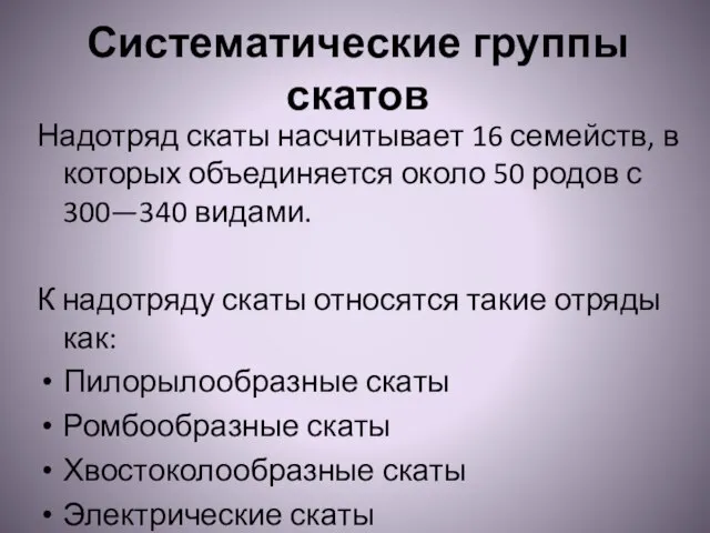 Систематические группы скатов Надотряд скаты насчитывает 16 семейств, в которых объединяется около