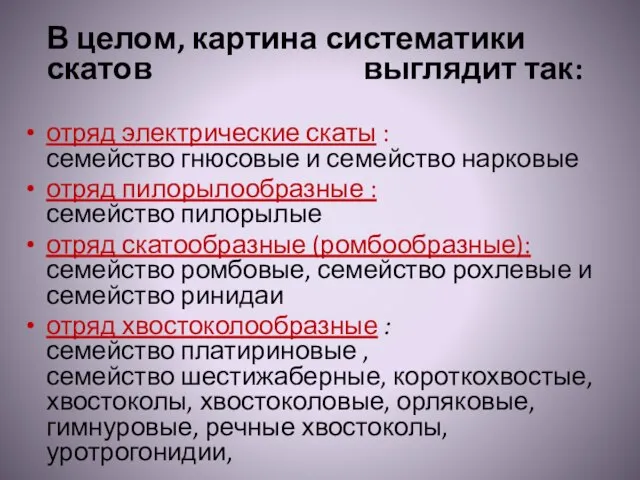 В целом, картина систематики скатов выглядит так: отряд электрические скаты : семейство