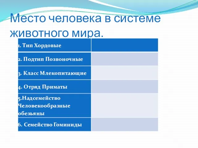 Место человека в системе животного мира.