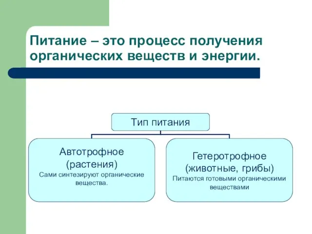 Питание – это процесс получения органических веществ и энергии.