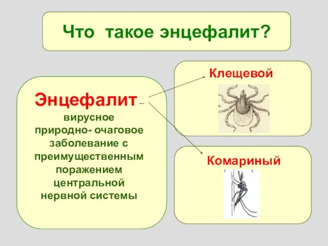 Что такое энцефалит? Энцефалит – вирусное природно- очаговое заболевание с преимущественным поражением