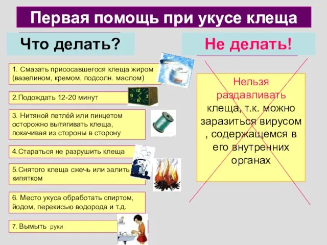 Первая помощь при укусе клеща Что делать? Не делать! 1. Смазать присосавшегося