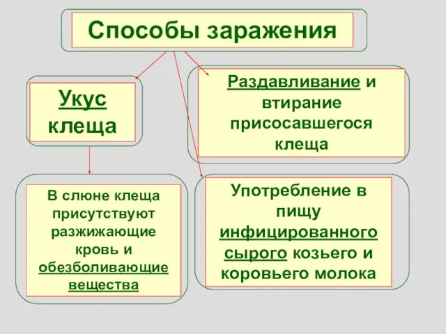 Способы заражения Укус клеща Раздавливание и втирание присосавшегося клеща Употребление в пищу