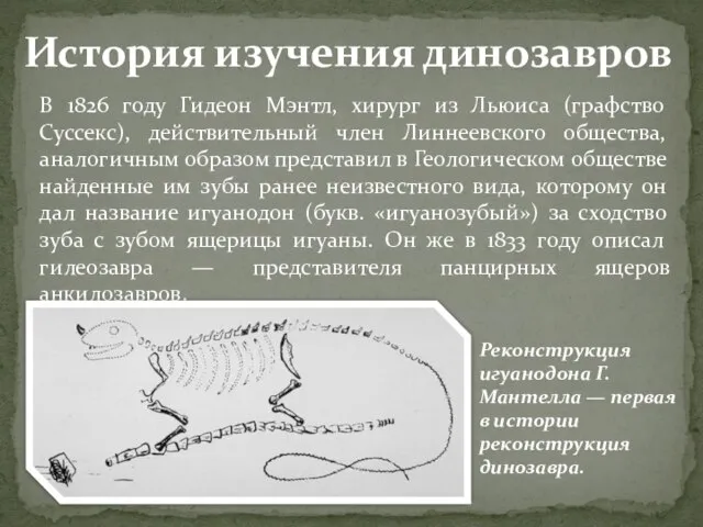 В 1826 году Гидеон Мэнтл, хирург из Льюиса (графство Суссекс), действительный член