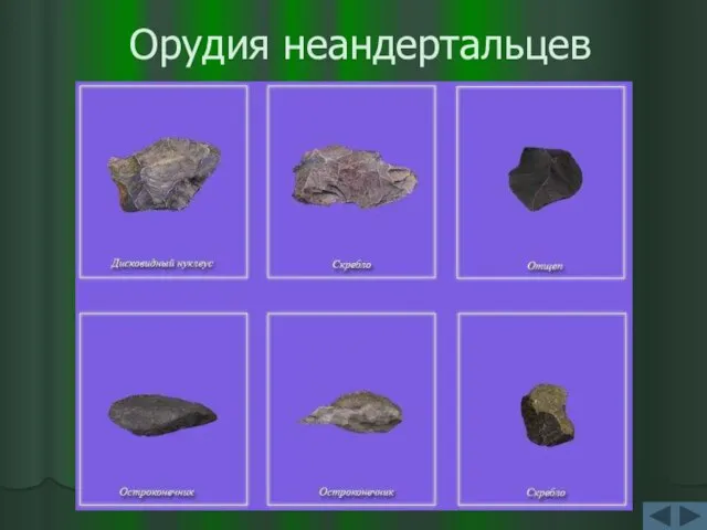 Орудия неандертальцев