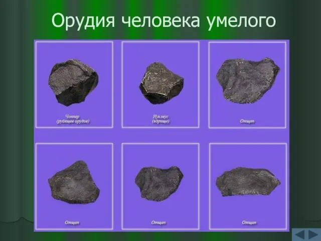 Орудия человека умелого