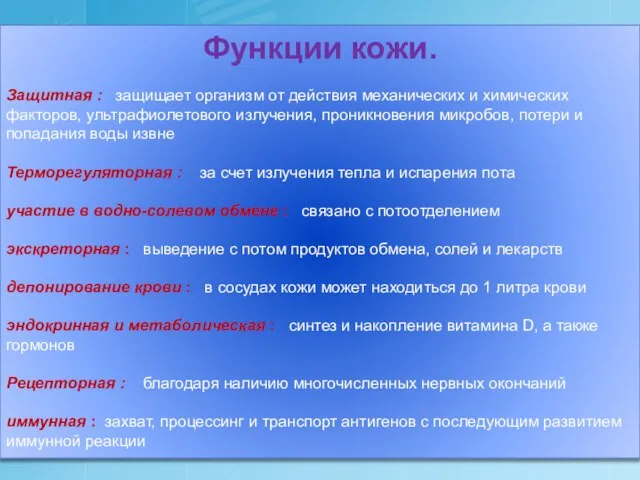 Функции кожи. Защитная : защищает организм от действия механических и химических факторов,