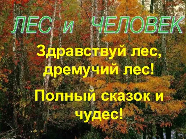 ЛЕС и ЧЕЛОВЕК Здравствуй лес, дремучий лес! Полный сказок и чудес!