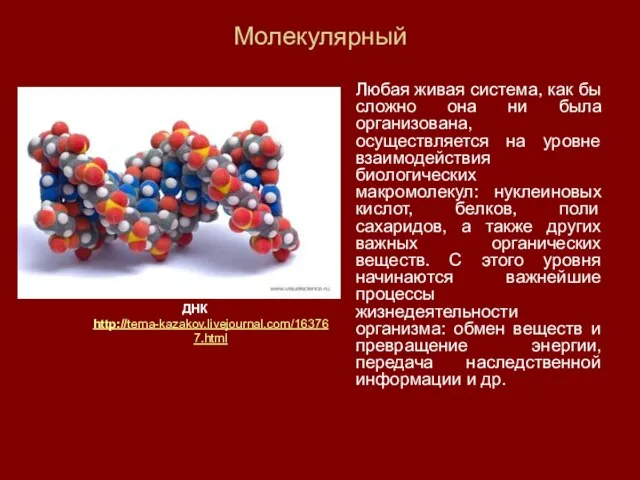 Молекулярный Любая живая система, как бы сложно она ни была организована, осуществляется