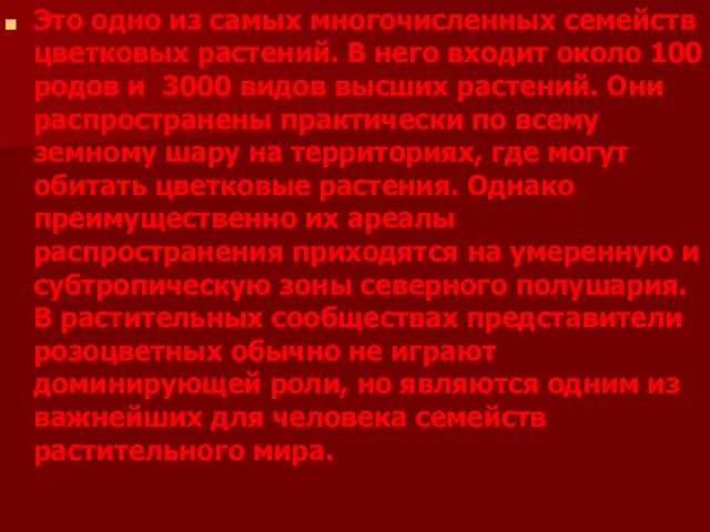 Это одно из самых многочисленных семейств цветковых растений. В него входит около