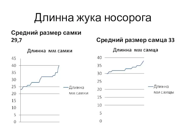 Длинна жука носорога Средний размер самки 29,7 Средний размер самца 33