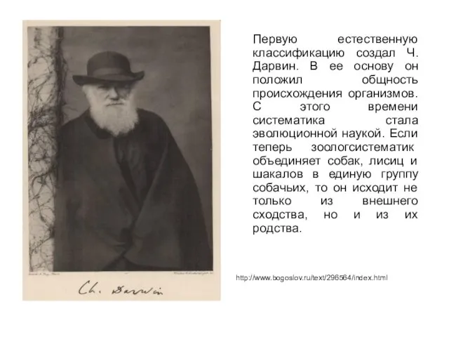 Первую естественную классификацию создал Ч. Дарвин. В ее основу он положил общность