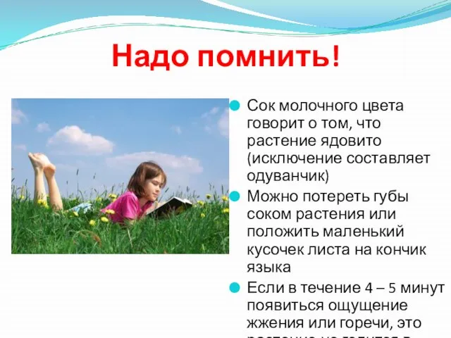 Надо помнить! Сок молочного цвета говорит о том, что растение ядовито (исключение