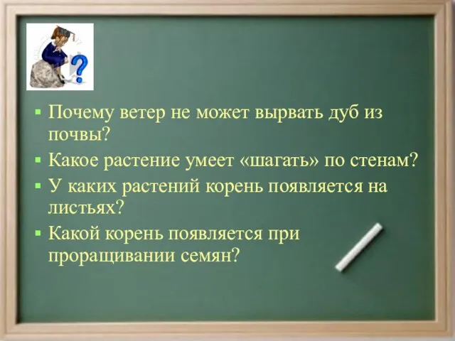 Почему ветер не может вырвать дуб из почвы? Какое растение умеет «шагать»