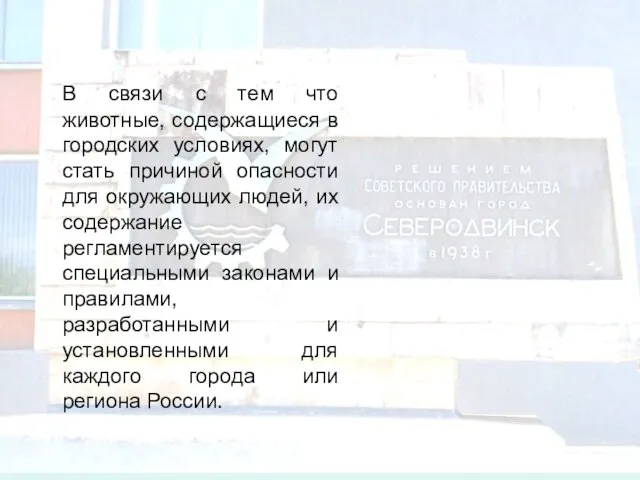 В связи с тем что животные, содержащиеся в городских условиях, могут стать