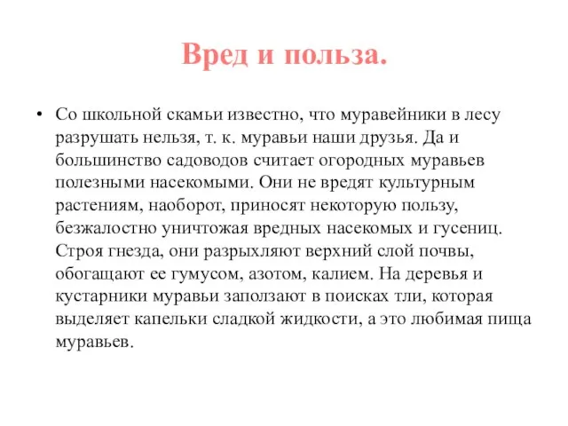 Вред и польза. Со школьной скамьи известно, что муравейники в лесу разрушать