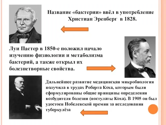 Название «бактерии» ввёл в употребление Христиан Эренберг в 1828. Луи Пастер в