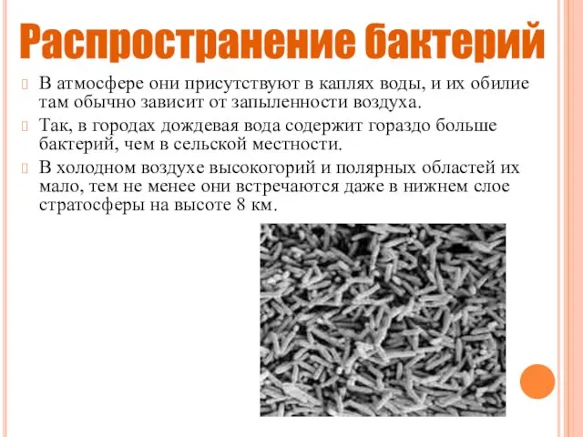 В атмосфере они присутствуют в каплях воды, и их обилие там обычно