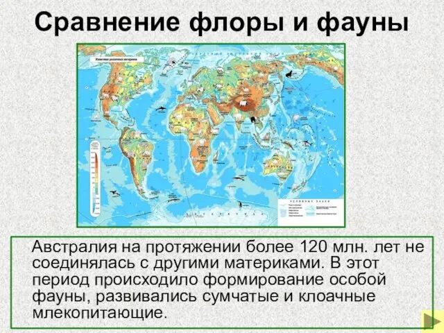 Сравнение флоры и фауны Австралия на протяжении более 120 млн. лет не