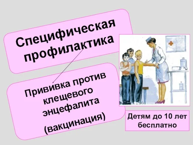 Специфическая профилактика Прививка против клещевого энцефалита (вакцинация) Детям до 10 лет бесплатно