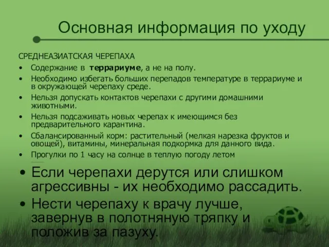 Основная информация по уходу СРЕДНЕАЗИАТСКАЯ ЧЕРЕПАХА Содержание в террариуме, а не на