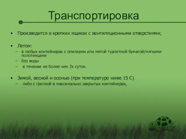 Транспортировка Производится в крепких ящиках с вентиляционными отверстиями; Летом: в любых контейнерах