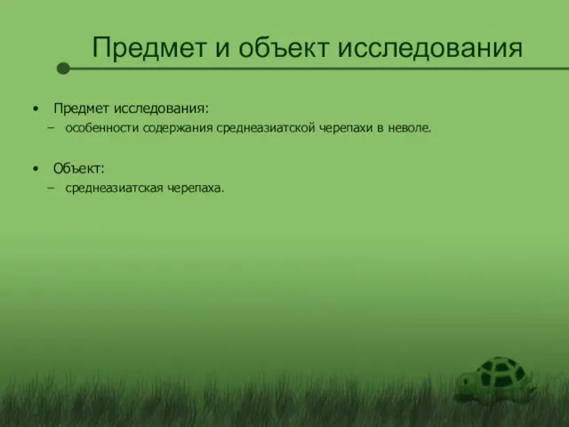 Предмет и объект исследования Предмет исследования: особенности содержания среднеазиатской черепахи в неволе. Объект: среднеазиатская черепаха.