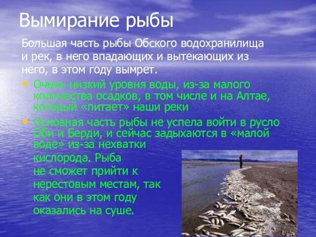 Вымирание рыбы Большая часть рыбы Обского водохранилища и рек, в него впадающих