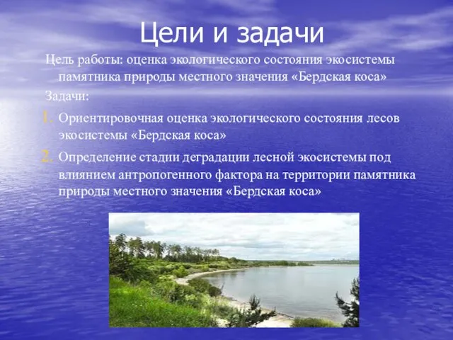 Цели и задачи Цель работы: оценка экологического состояния экосистемы памятника природы местного