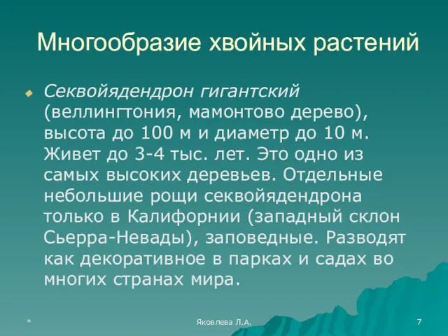 * Яковлева Л.А. Многообразие хвойных растений Секвойядендрон гигантский (веллингтония, мамонтово дерево), высота