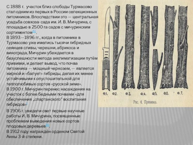 С 1888 г. участок близ слободы Турмасово стал одним из первых в