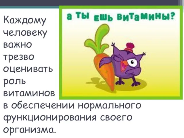 Каждому человеку важно трезво оценивать роль витаминов в обеспечении нормального функционирования своего организма.