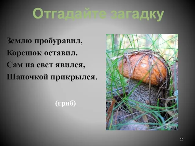 Отгадайте загадку Землю пробуравил, Корешок оставил. Сам на свет явился, Шапочкой прикрылся. (гриб)