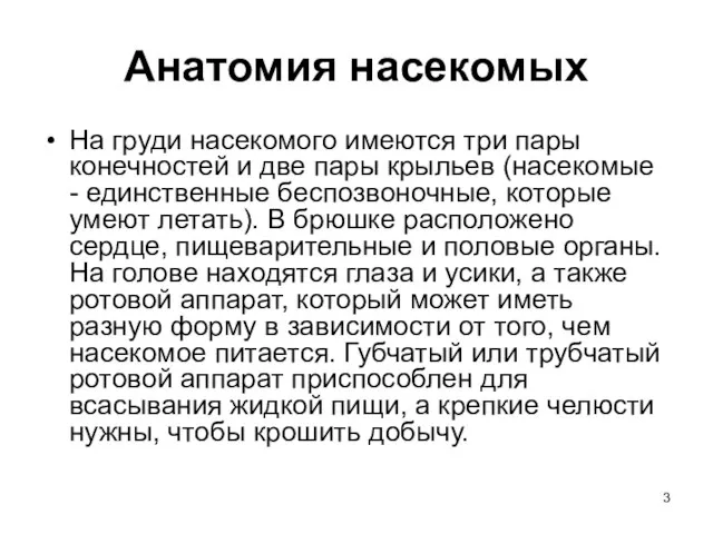 Анатомия насекомых На груди насекомого имеются три пары конечностей и две пары