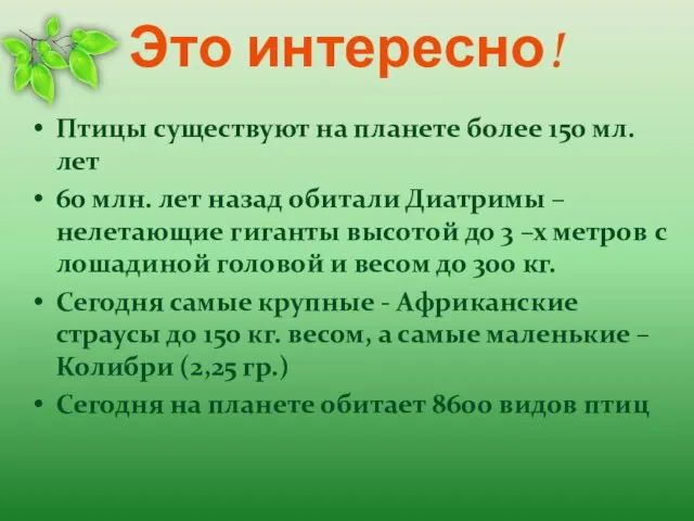 Это интересно! Птицы существуют на планете более 150 мл. лет 60 млн.