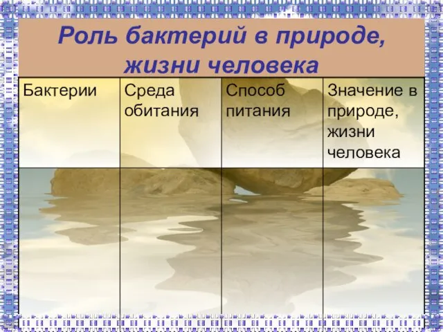 Роль бактерий в природе, жизни человека