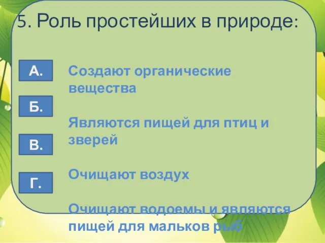 5. Роль простейших в природе: Создают органические вещества Являются пищей для птиц