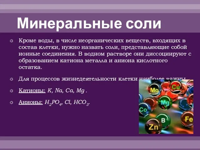 Минеральные соли Кроме воды, в числе неорганических веществ, входящих в состав клетки,