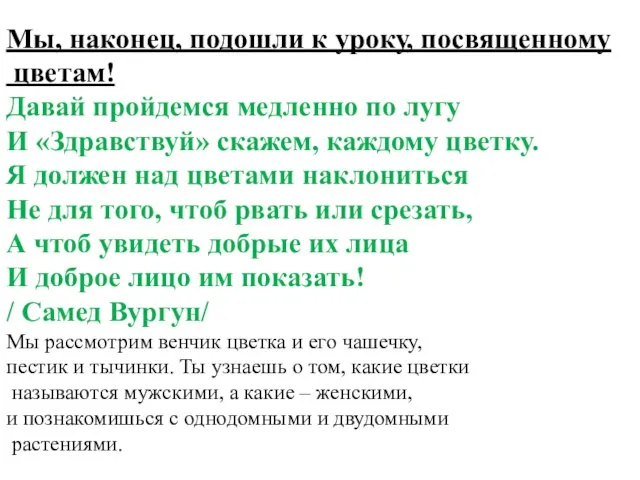 Мы, наконец, подошли к уроку, посвященному цветам! Давай пройдемся медленно по лугу