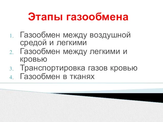 Этапы газообмена Газообмен между воздушной средой и легкими Газообмен между легкими и