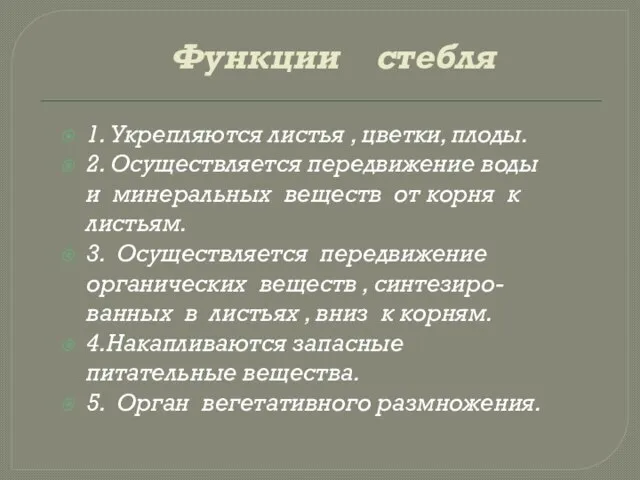 Функции стебля 1. Укрепляются листья , цветки, плоды. 2. Осуществляется передвижение воды